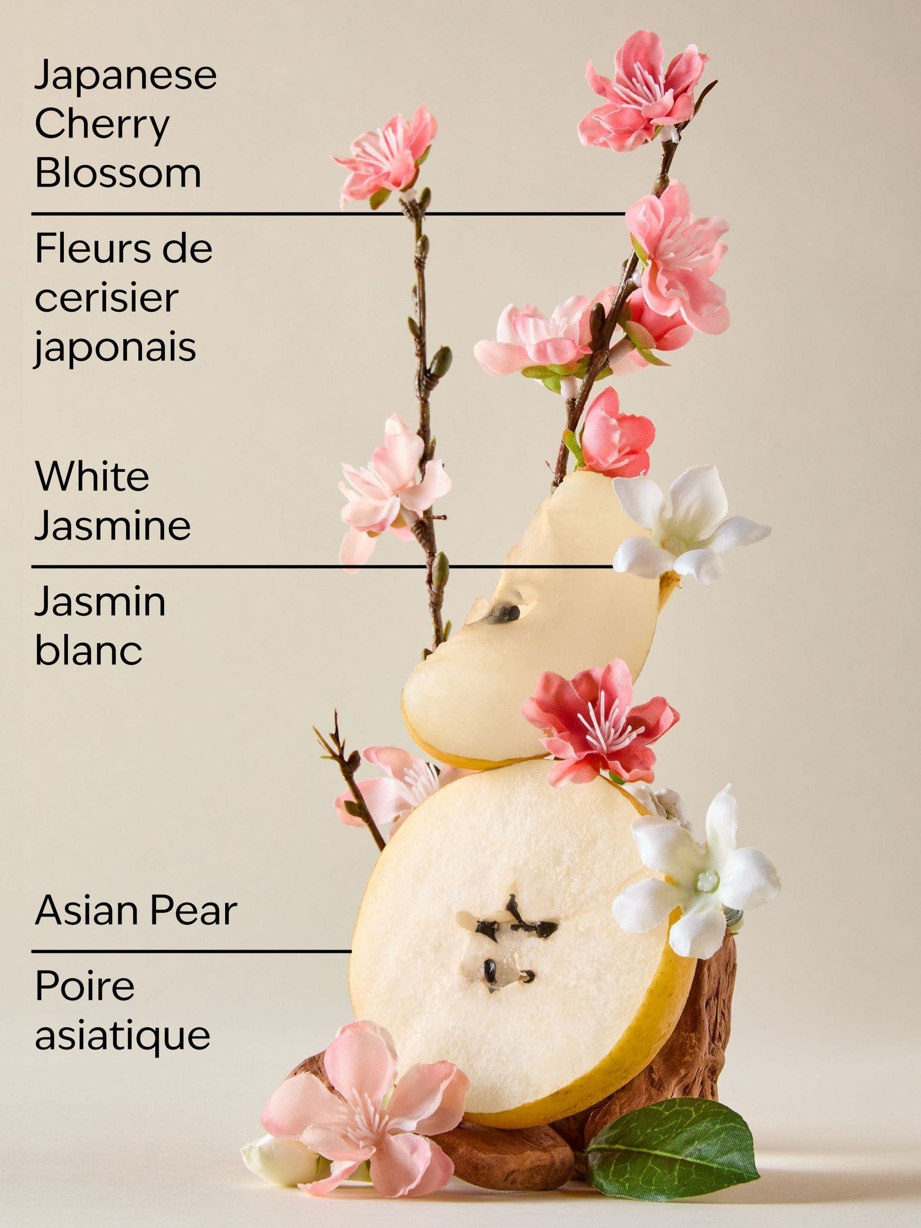 بادی اسپلش بث اند بادی ورکس Japanese Cherry Blossom حجم 236 میلیلیتر - Image 2